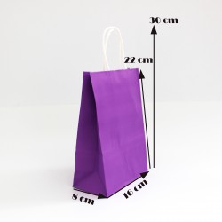 Papīra maiss ar vītiem rokturiem 22*16*8cm, 12gab.