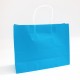 Paper bag with twisted handles 25*31*11.5 cm, 12pcs