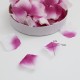 Dekoratīvas rožu ziedlapiņas ombre lavender, 100 gab.