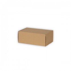 Cardboard box 250*160*100mm FEFCO 0427