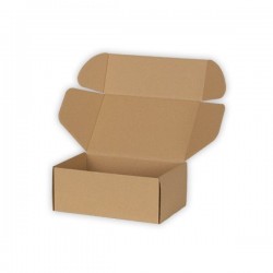 Cardboard box 250*160*100mm FEFCO 0427