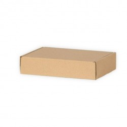 Kartona kaste FEFCO 0427 310 x 220 x 55 mm, 10 gab