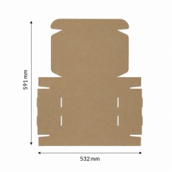 Kartona kaste FEFCO 0427 310 x 220 x 55 mm, baltā krāsa, 10 gab