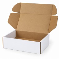 White Cardboard Box FEFCO 0427 – 250×160×100 mm