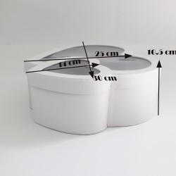 Dāvanu un ziedu kaste "white"