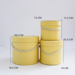Ziedu kastes kompleks,3gab., "yellow"