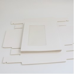 Kartona kastes ar logu 28*19.5*5cm, "white"12gab.