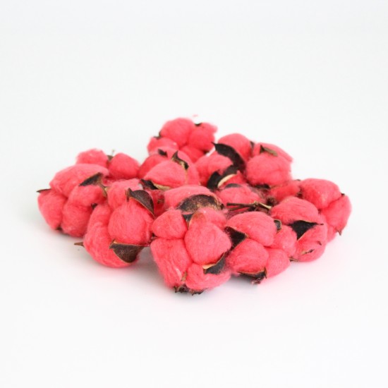 Kokvilnas galviņas 15.gab "red"