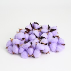 Kokvilnas galviņas 15.gab "violet"
