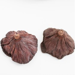 Dried Lotus Pods, natural decorative, 25 pcs, ~5–8 cm