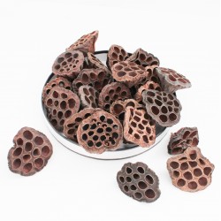 Dried Lotus Pods, natural decorative, 25 pcs, ~5–8 cm