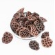 Dried Lotus Pods, natural decorative, 25 pcs, ~5–8 cm