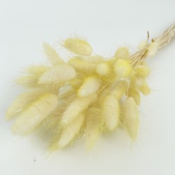 Sauszieds olveida zaķaste 40g "ombre color"