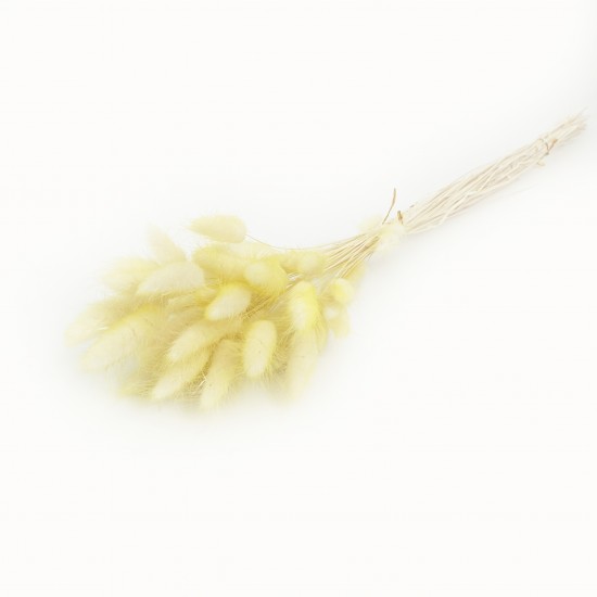 Sauszieds olveida zaķaste 40g "ombre color"
