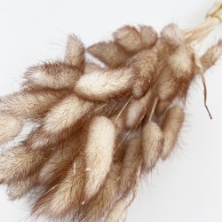 Sauszieds olveida zaķaste 40g "ombre color"