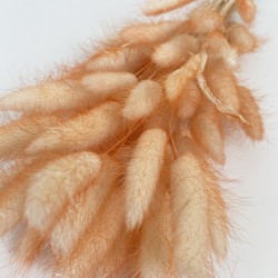 Sauszieds olveida zaķaste 40g "ombre color"