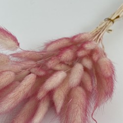 Sauszieds olveida zaķaste 40g "ombre color"