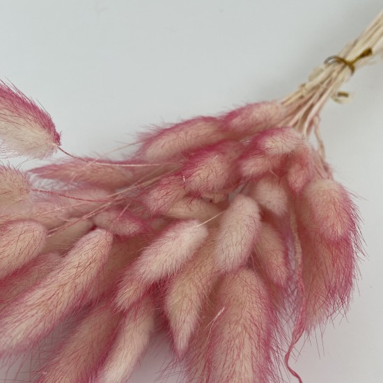 Sauszieds olveida zaķaste 40g "ombre color"