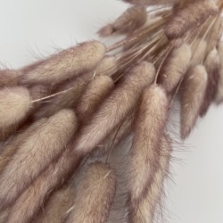 Sauszieds olveida zaķaste 40g "ombre color"