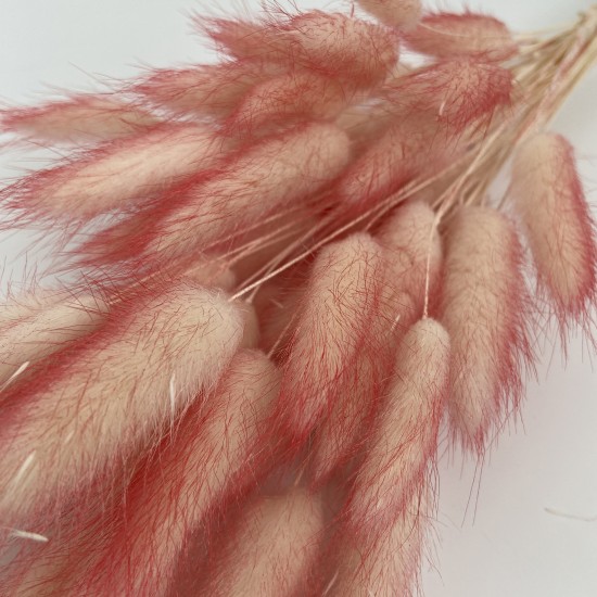 Sauszieds olveida zaķaste 40g "ombre color"
