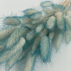 Sauszieds olveida zaķaste 40g "ombre color"