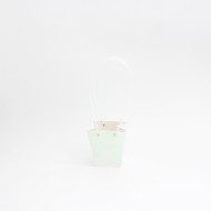 Ziedu maiss hologram, 10gab