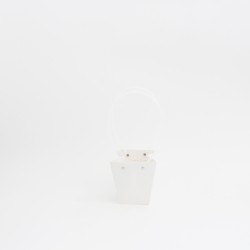 Ziedu maiss white, 10gab