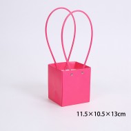 Ziedu maisi  fuchsia 10 gab.