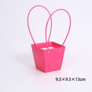 Ziedu maiss fuchsia , 10gab