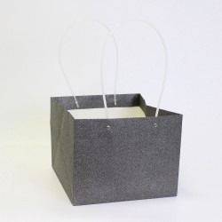Maiss transportēšanai SHINE 21*27*27cm