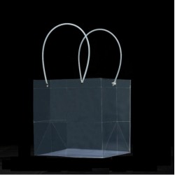 Caurspīdīgs maiss transportēšanai 25*25*25cm 1gab.