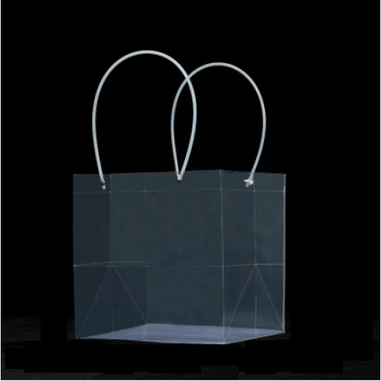 Caurspīdīgs maiss transportēšanai 25*25*25cm 1gab.