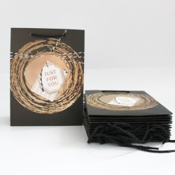 Papīra dāvanu maiss ar virves rokturiem 8,5*17,5*24cm, 12 gab