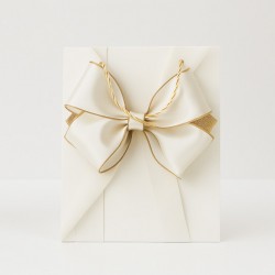 Dāvanu maisiņš ar satīna lentes apdruku un auklu rokturiem 26×32×10 cm, 1 gab.