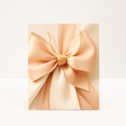 Dāvanu maisiņš ar satīna lentes apdruku un auklu rokturiem 26×32×10 cm, 1 gab.