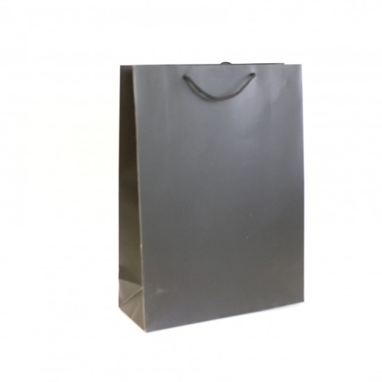 Papīra dāvanu maiss ar virves rokturiem 12*31*42cm 1gab.