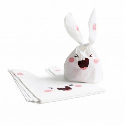 Dāvanu maisiņi  ar ausīm 13×10,5+6 cm, 10 gab.