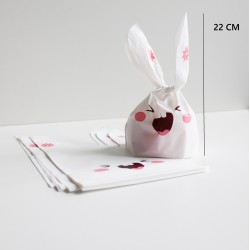 Dāvanu maisiņi  ar ausīm 13×10,5+6 cm, 10 gab.