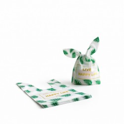 Dāvanu maisiņi  ar ausīm 13×10,5+6 cm, 10 gab.