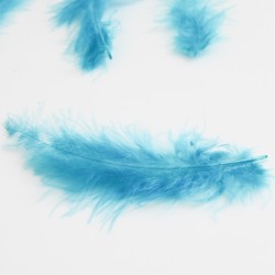 Dekoratīvas spalvas 7-15cm, 10gr.,''light blue"