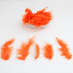 Dekoratīvas spalvas 7-15cm, 10gr.,''orange"