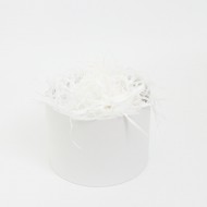 Papīra skaidas 100g