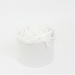 Papīra skaidas 100g