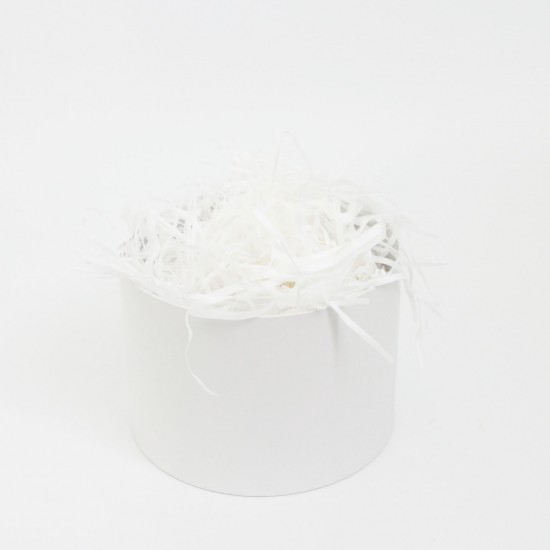 Papīra skaidas 100g