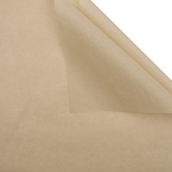 Zīdpapīrs papīrs MILKY TEA 50x70cm,40loksnes