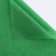 Zīdpapīrs  papīrs  GREEN 50x70cm,40loksnes