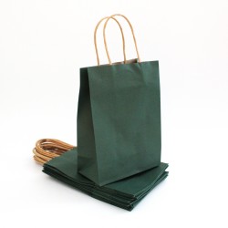 Paper bag with twisted handles 21*15*8cm, green, 12pcs