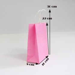 Paper bag with twisted handles 22*16*8cm, 12pcs