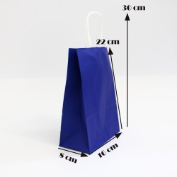 Paper bag with twisted handles 22*16*8cm, 12pcs