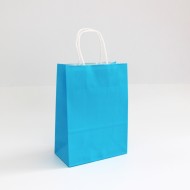 Paper bag with twisted handles 22*16*8cm, 12pcs